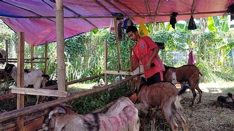 Transaksi Non Tunai Makanan Minuman Di Kereta Sekaligus Donasi Hewan