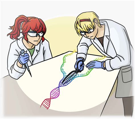 Human genome editing should proceed with caution – The Varsity