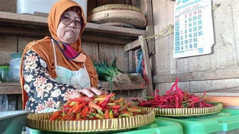 Harga Cabai Di Kulon Progo Naik Karena Sedang Masuk Musim Tanam