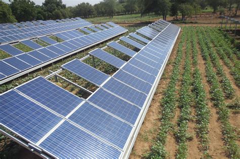 Jodhpur Agrivoltaic Pilot Project Replicated Pv Magazine India