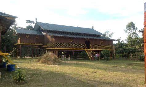 Mengenal Suku Sakai Penghuni Hutan Adat Kesumbo Ampai Riau