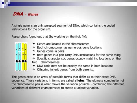 Ppt Biology Powerpoint Slideshow Grade 9 Science Biological Diversity