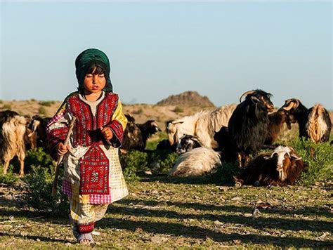 Where To Visit Iranian Nomads Bakhtiari Shahsavan Turkmen And Qashqai