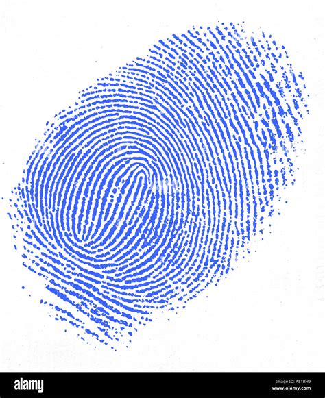 Closeup Of Blue Fingerprint Stock Photo Alamy