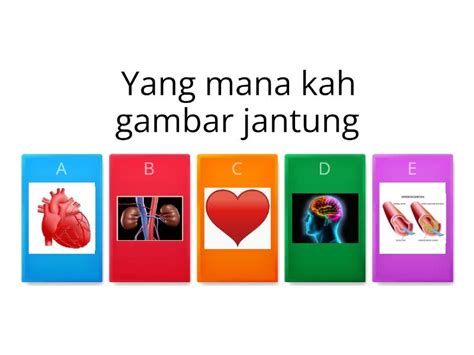 Kuis Organ Tubuh Quiz