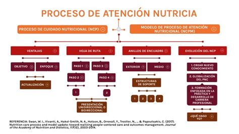 Mapa Proceso De Atencion Nutricia