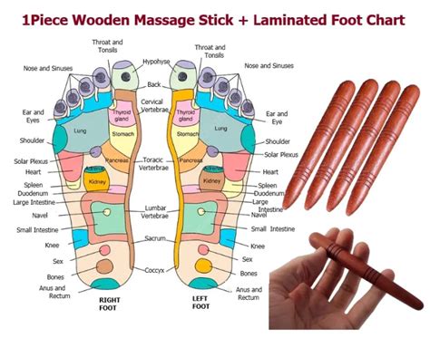 1piece Wooden Foot Thai Massage Stick Health Relaxation Wood Stick