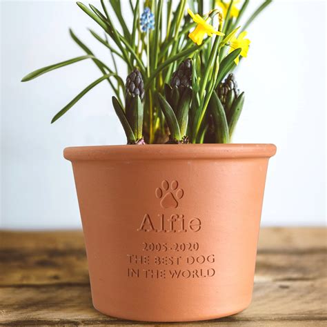 Personalised Pet Memorial Plant Pot Letterfest