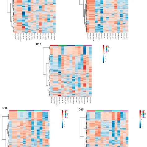 Two Way Hierarchical Clustering Analysis Using Euclidean Distance And Download Scientific