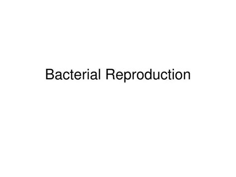 Ppt Bacterial Reproduction Powerpoint Presentation Free Download Id 1030323