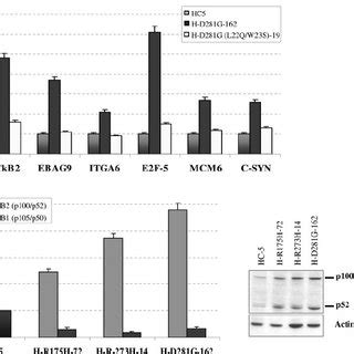 Expression Of Mutant P53 Up Regulates Genes In H1299 Cells A MRNA