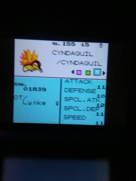 Shiny Cyndaquil Gen 2 Help Pokémon Amino