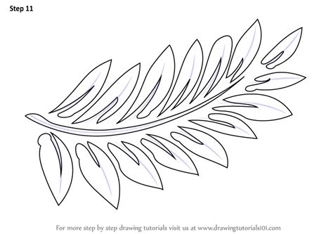 Learn How to Draw Fern-fronds (Plants) Step by Step : Drawing Tutorials