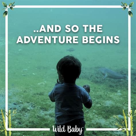 And so the adventure begins. - Wild Baby Quote | Wild baby, And so the ...