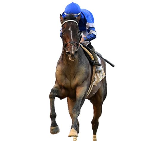TimeformUS Expert Picks with David Aragona