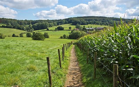 Rural Path In Limburg Netherlands Path Fields Netherlands