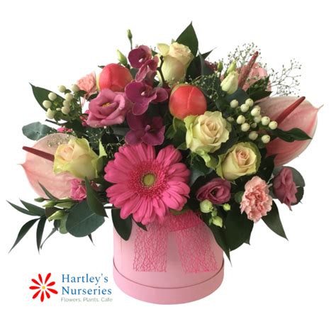 Happy Hatbox Buy Online Or Call