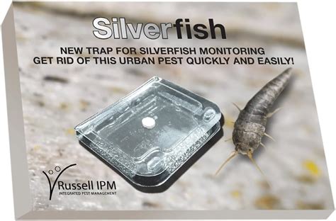 Silverfish Trap For Crawling Insects In Bathrooms Libraries Attics