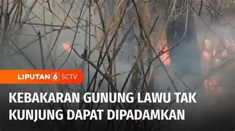 Berita Kebakaran Hutan Lawu Hari Ini Kabar Terbaru Terkini Liputan6