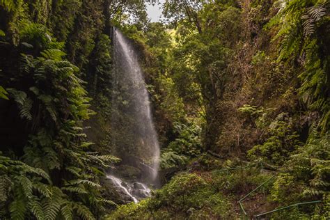 La Palma La Isla Bonita Desc Brela La Cascada De Los Tilos San