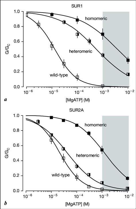 Effect Of The Pndm Mutation Q R On K Atp Channels Composed Of Sur Or