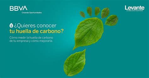 ¿qué Es La Huella De Carbono Bbva Así Puedes Conocerlo Desde Su App