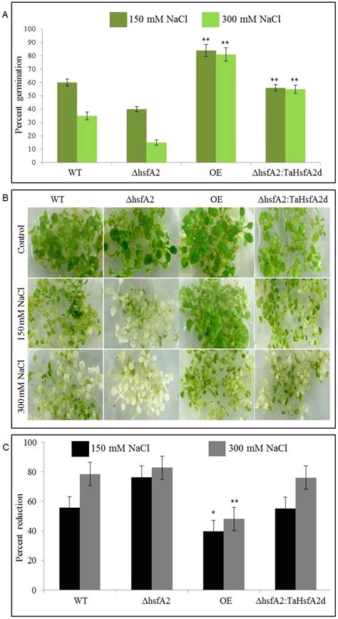 A Effect Of Different Concentrations Of Salt Stress Nacl On Percent