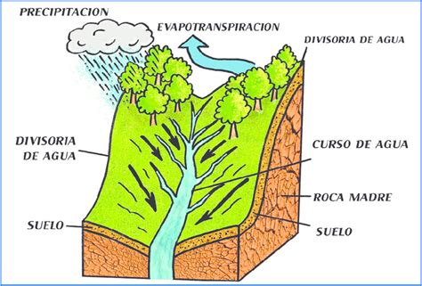 Realizaci N Personal Manejo De Cuencas Segundo A O Sa