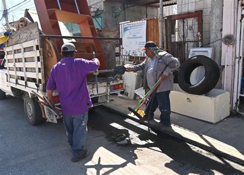 M S De Nueve Toneladas De Cacharros Se Han Recogido En Colonias De