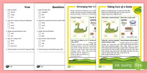 How To Look After A Snake Differentiated Reading Comprehension Activity