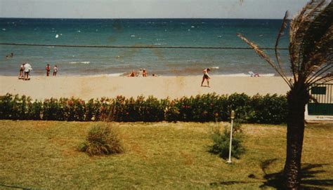 La Puerta Separa El Jard N De La Amplia Playa Durante Las Ltimas