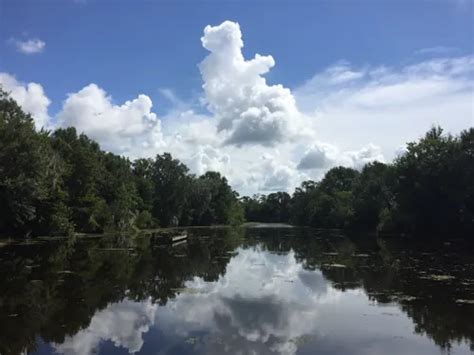 Best Hikes and Trails in Jean Lafitte National Historical Park and ...