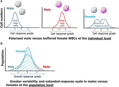 Frontiers Inherent X Linked Genetic Variability And Cellular Mosaicism Unique To Females