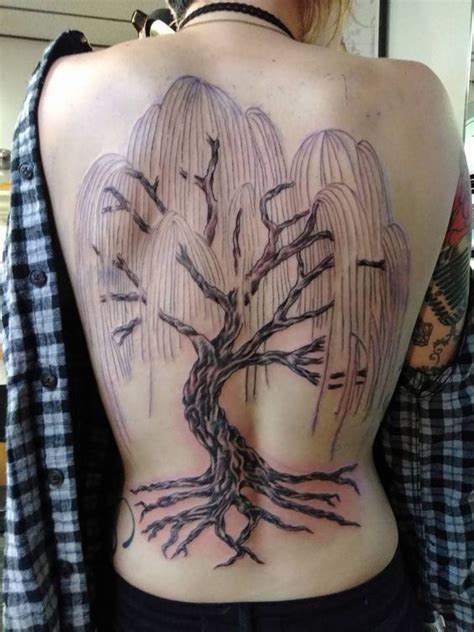 15 Best willow tree tattoo designs