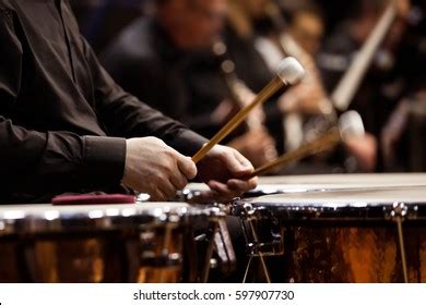 Hands Musician Playing Timpani Orchestra Closeup Stock Photo 591363716 | Shutterstock