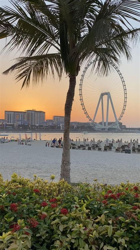 City Aesthetic Beach Aesthetic Travel Aesthetic Dubai Aesthetic Girl