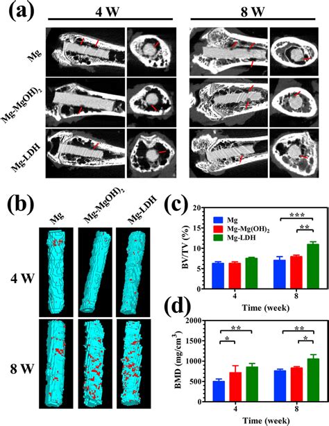 Micro Ct Analysis Of Mg Mg Mg Oh Mg Ldh After Implantation For