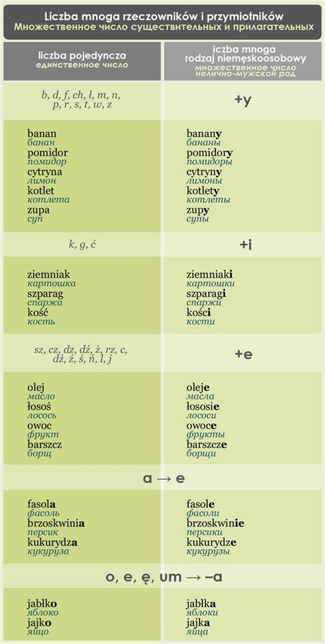 КУРСЫ ONLINE / Мои курсы | Польский алфавит, Польский язык, Польша