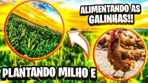 Mostrando Nossa Planta O De Milho E Alimentando Nossas Galinhas Youtube