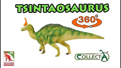 Tsintaosaurus Collecta Giro Dinossauro De Brinquedo Youtube