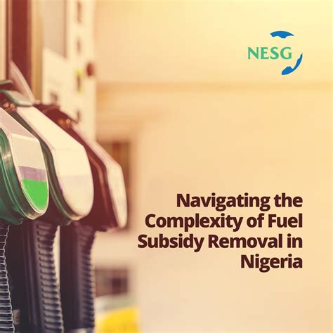 The Nigerian Economic Summit Group Navigating The Complexity Of Fuel