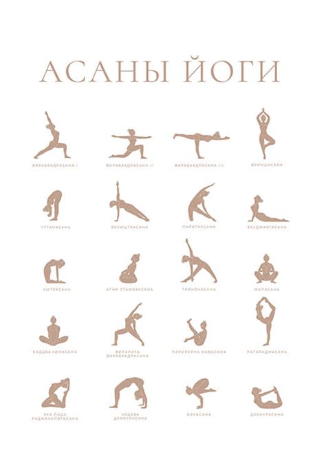 Асаны йоги | Homelly
