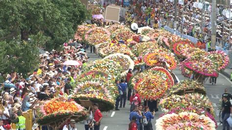 Desfile De Silleteros Conozca El Recorrido Del Evento Más Importante En La Feria De Las Flores