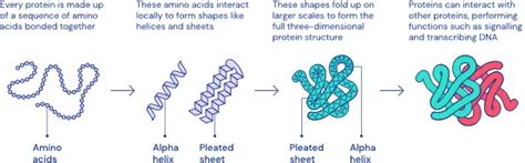 【独家解读】nature论文alphafold：ai推动科学发现 知乎