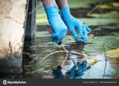 Concept Pollution L Eau Des Tangs Scientifique Pr L Ve Des