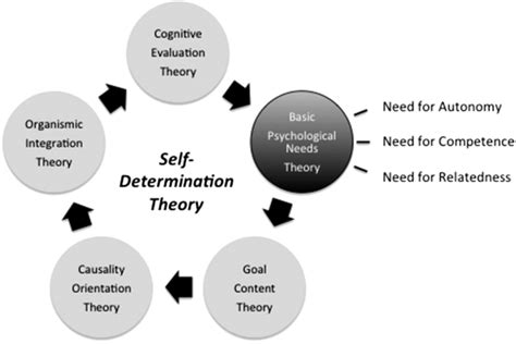 Overview of Self-Determination Theory (SDT): The Five Mini-Theories ...