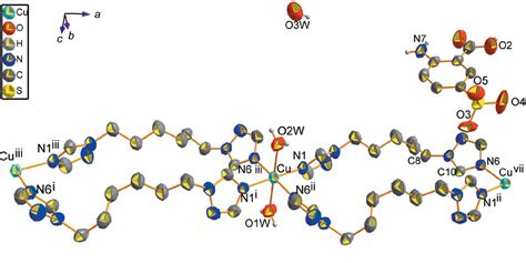 Figure From A New Copper Ii Supramolecular Coordination Polymer And