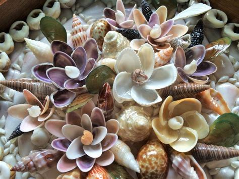 Pin By Susie Slifer On Beach Shells Shell Flowers Sea Shells Diy