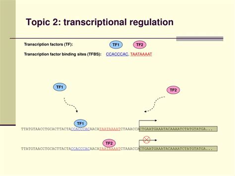 Ppt Special Topics In Genomics Lecture Introduction Powerpoint