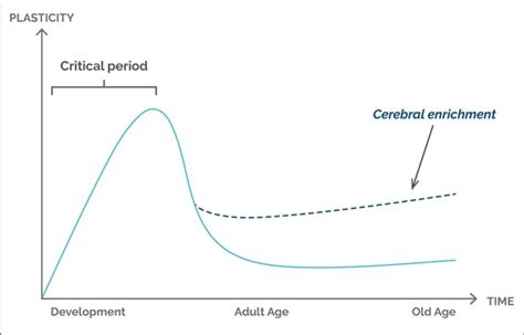 Graphical Representation Of The Relationship Between Plasticity And